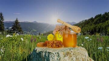 Project After Effects � 1000 �� 1100