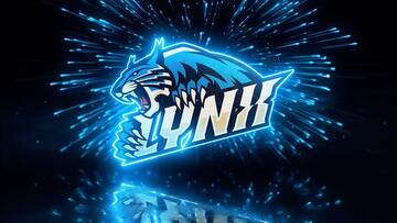 Project After Effects � 1000 �� 1100