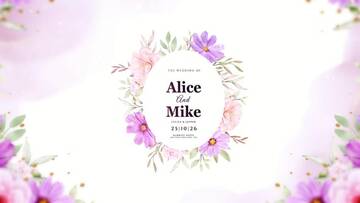Project After Effects  3300  3400