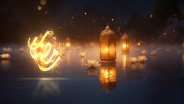 Project After Effects  3300  3400