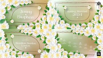 Project After Effects  3200  3300