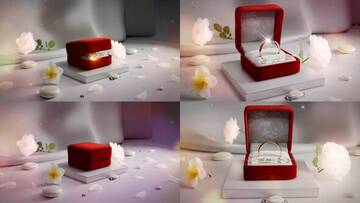 Project After Effects  3300  3400