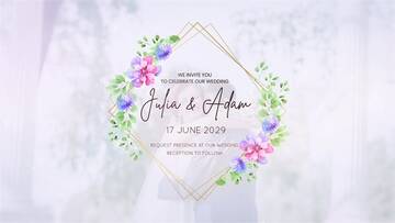 Project After Effects  3300  3400