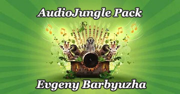 AudioJungle     After Effects VideoHive