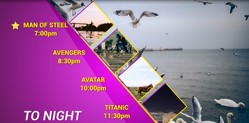  After Effects   1   100