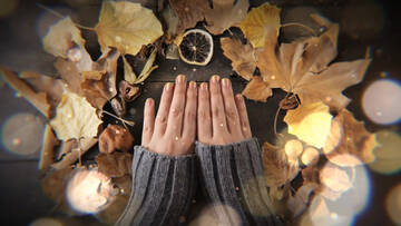  After Effects   400  500
