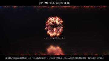 Project After Effects  800  900