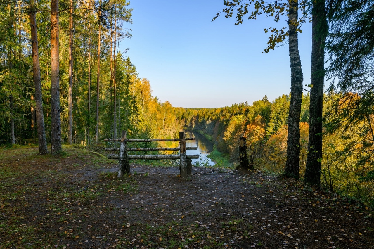 https://upforme.ru/uploads/001a/37/94/5/152665.jpg