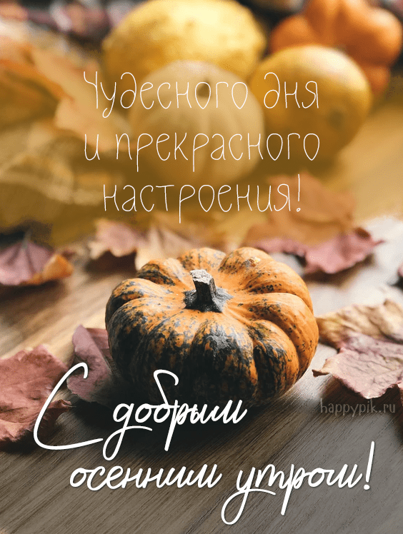 https://upforme.ru/uploads/001a/39/7c/175/717904.png