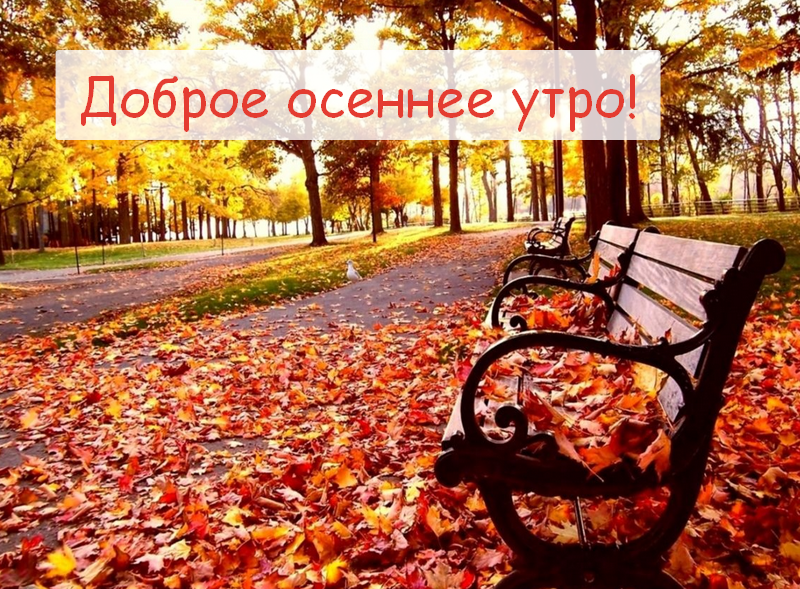 https://upforme.ru/uploads/001a/39/7c/175/841980.png