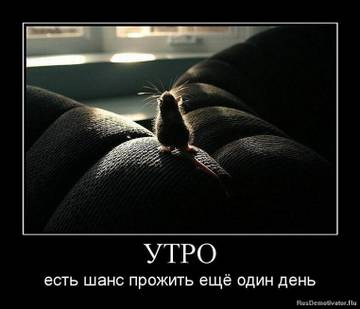 https://upforme.ru/uploads/001a/39/7c/175/t14562.jpg