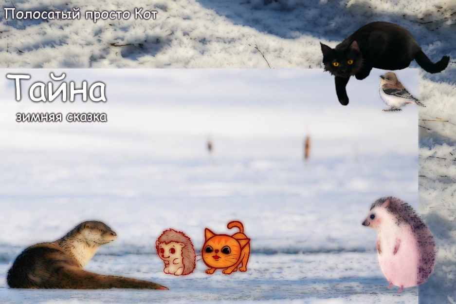 https://upforme.ru/uploads/001a/39/7c/475/222533.jpg