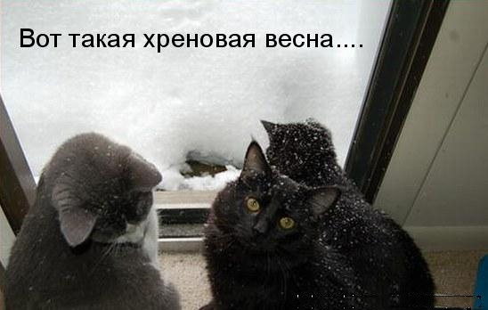https://upforme.ru/uploads/001a/39/7c/475/t393808.jpg