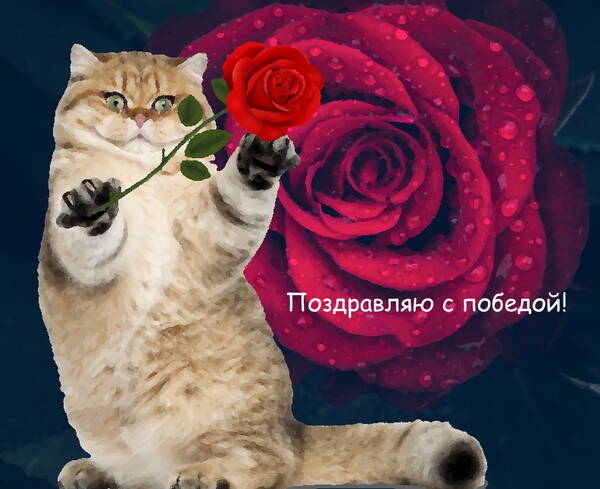 https://upforme.ru/uploads/001a/39/7c/475/t40060.jpg
