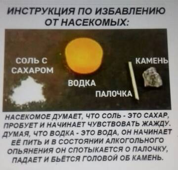 https://upforme.ru/uploads/001a/39/7c/527/t747848.jpg