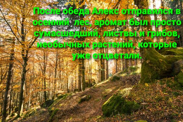 https://upforme.ru/uploads/001a/39/7c/614/t609752.jpg