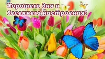 https://upforme.ru/uploads/001a/39/7c/773/t308592.jpg