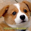 https://upforme.ru/uploads/001a/55/a6/2/210629.png