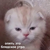 https://upforme.ru/uploads/001a/55/a6/2/347738.png