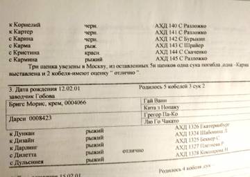 https://upforme.ru/uploads/001a/60/41/33/t11812.jpg