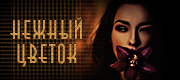 https://upforme.ru/uploads/001a/70/88/37/828412.gif