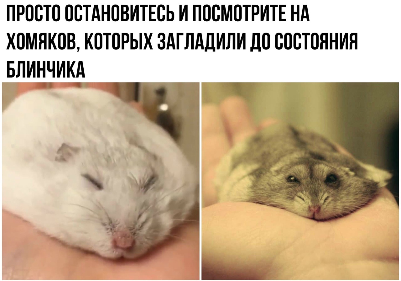 https://upforme.ru/uploads/001a/75/37/4/96694.jpg