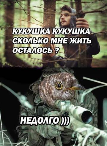 https://upforme.ru/uploads/001a/75/37/4/t55435.jpg