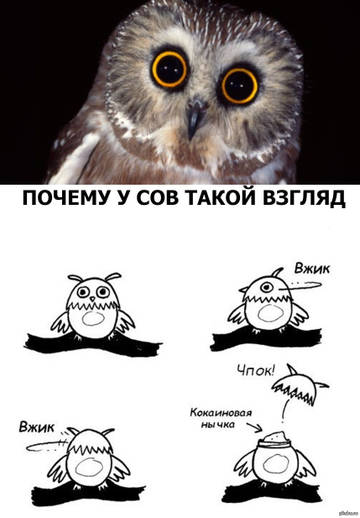 https://upforme.ru/uploads/001a/75/37/4/t72014.jpg