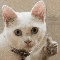 smalimg