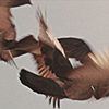 https://upforme.ru/uploads/001a/7d/a5/106/481225.png