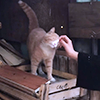 https://upforme.ru/uploads/001a/7d/a5/348/689549.png