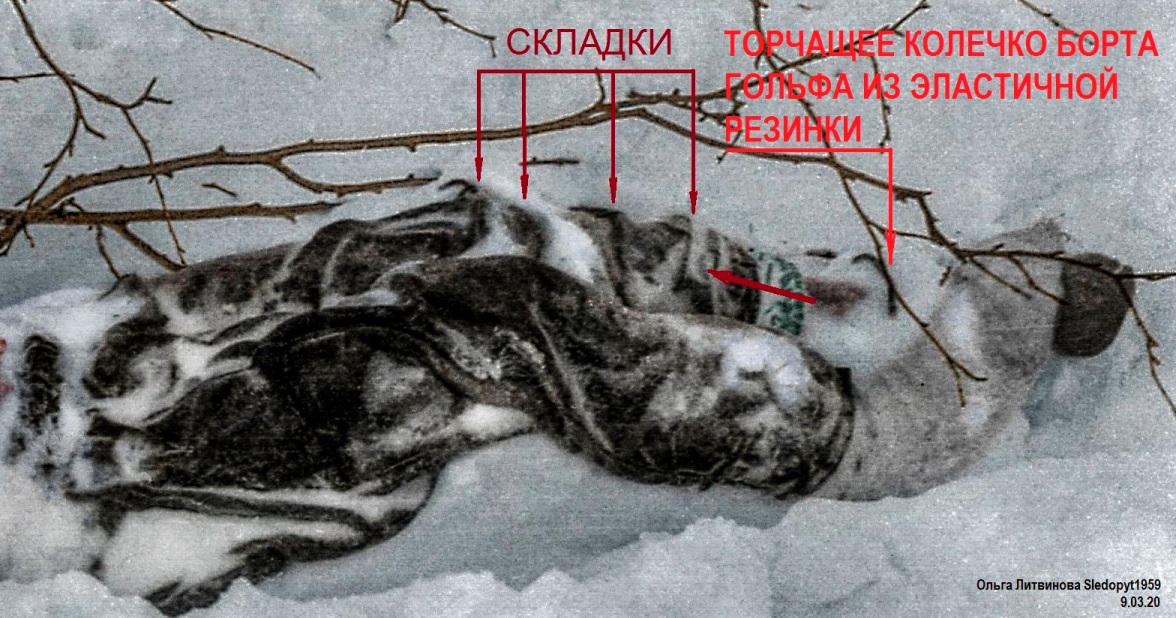 https://upforme.ru/uploads/001a/7e/41/2/320951.jpg