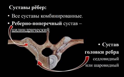 https://upforme.ru/uploads/001a/7e/41/2/t243574.jpg