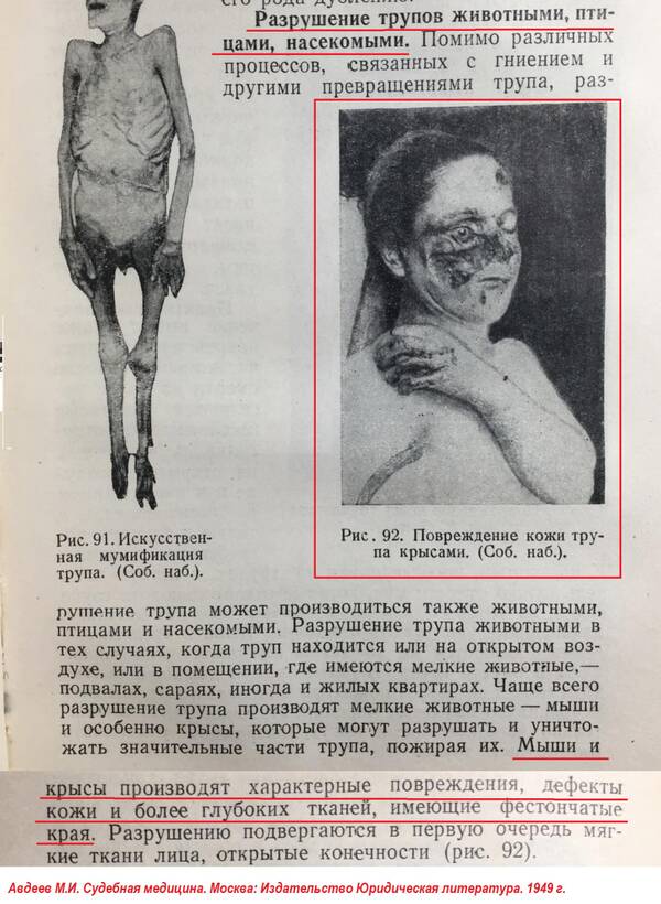https://upforme.ru/uploads/001a/7e/41/2/t252242.jpg