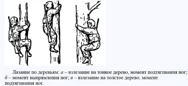 https://upforme.ru/uploads/001a/7e/41/2/t444771.jpg
