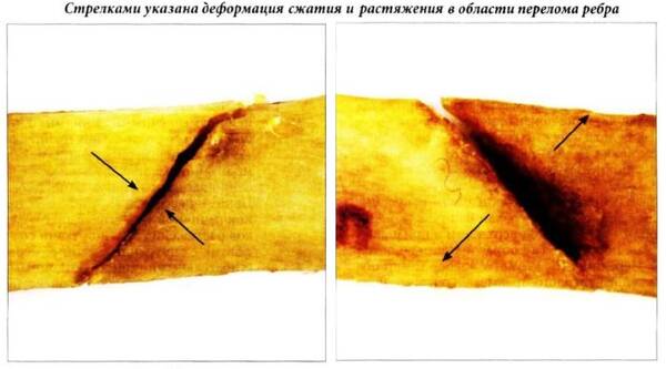 https://upforme.ru/uploads/001a/7e/41/2/t544028.jpg