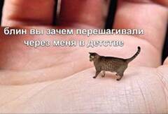 https://upforme.ru/uploads/001a/8a/cc/2/t757682.jpg