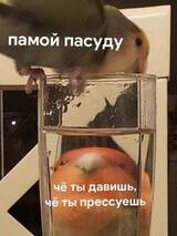 https://upforme.ru/uploads/001a/8a/cc/4/t805443.jpg