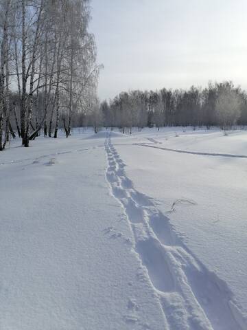 https://upforme.ru/uploads/001a/8c/05/1011/t732845.jpg