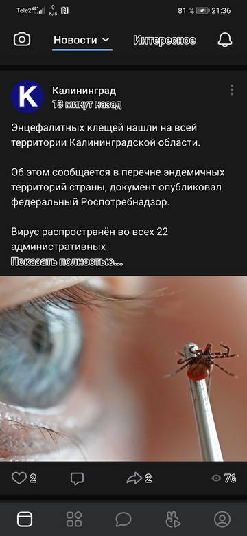 https://upforme.ru/uploads/001a/8c/05/177/t417593.jpg
