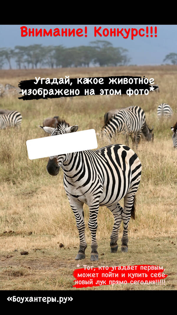 https://upforme.ru/uploads/001a/8c/05/2/t189710.jpg