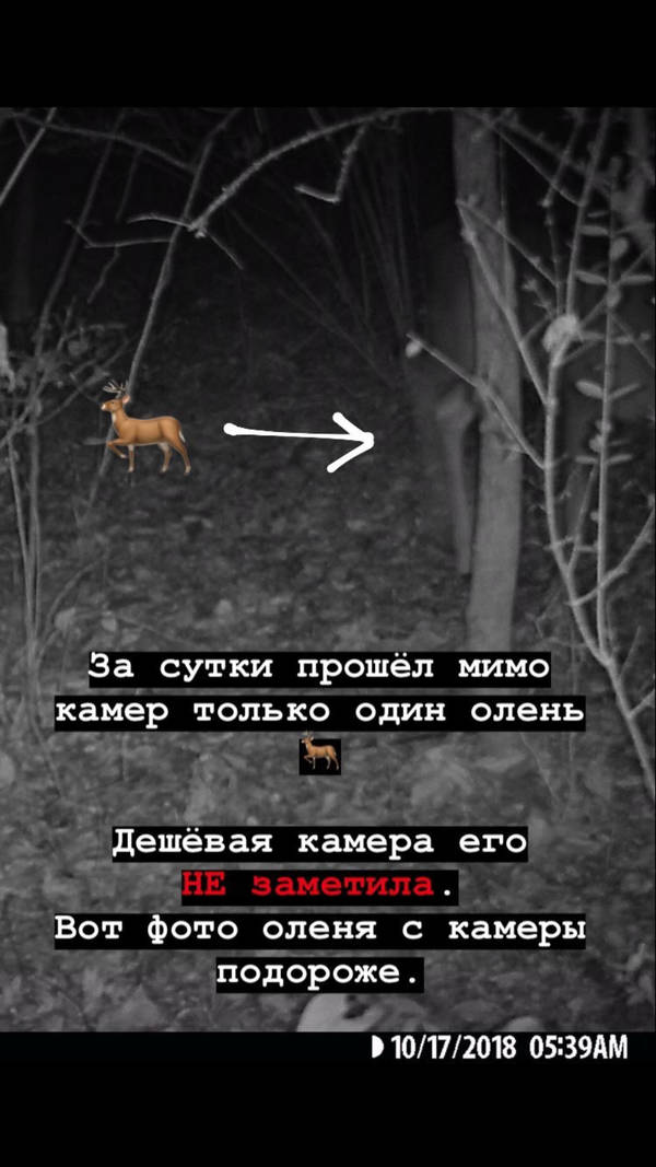 https://upforme.ru/uploads/001a/8c/05/2/t23927.jpg
