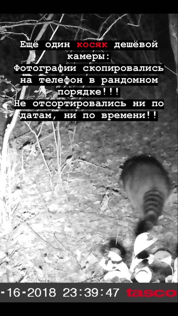 https://upforme.ru/uploads/001a/8c/05/2/t33849.jpg