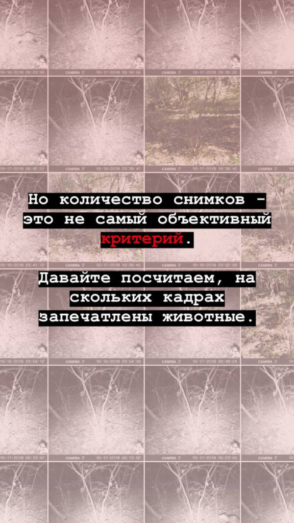 https://upforme.ru/uploads/001a/8c/05/2/t35675.jpg