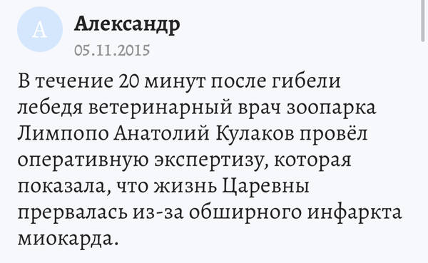 https://upforme.ru/uploads/001a/8c/05/2/t474886.jpg