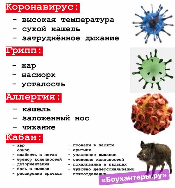 https://upforme.ru/uploads/001a/8c/05/2/t48307.jpg