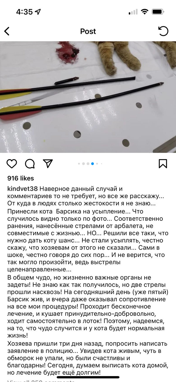 https://upforme.ru/uploads/001a/8c/05/2/t611301.png