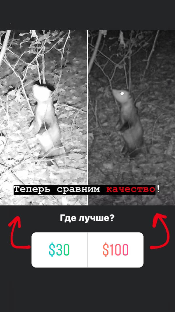 https://upforme.ru/uploads/001a/8c/05/2/t74266.jpg