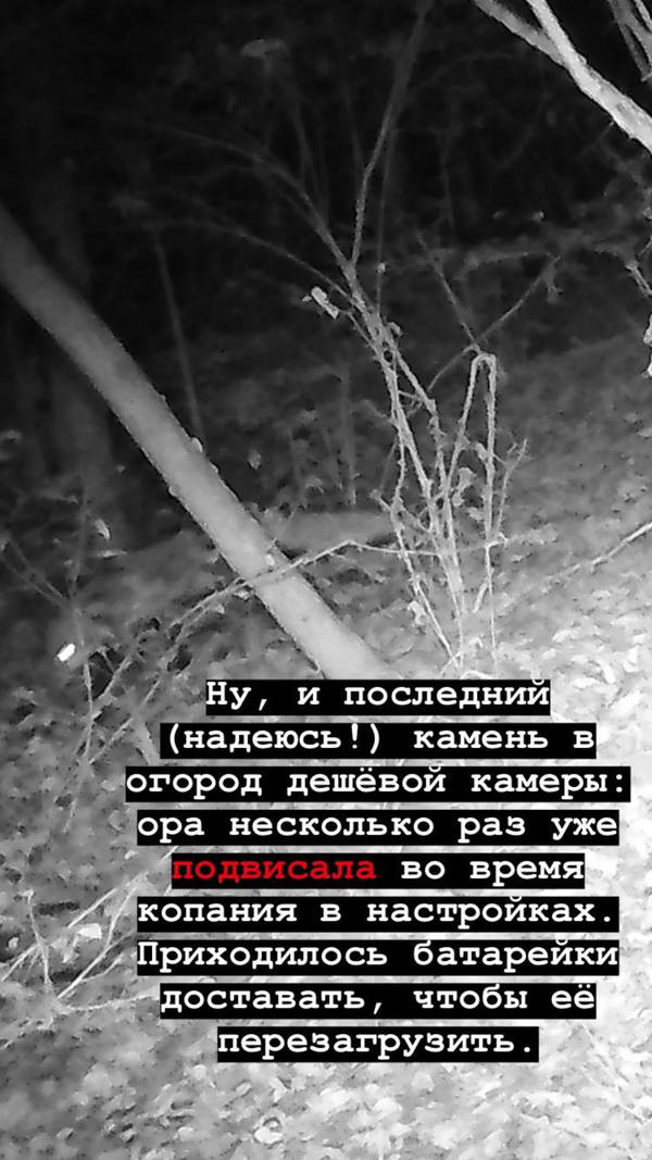 https://upforme.ru/uploads/001a/8c/05/2/t77505.jpg