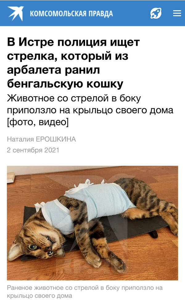 https://upforme.ru/uploads/001a/8c/05/2/t78097.jpg